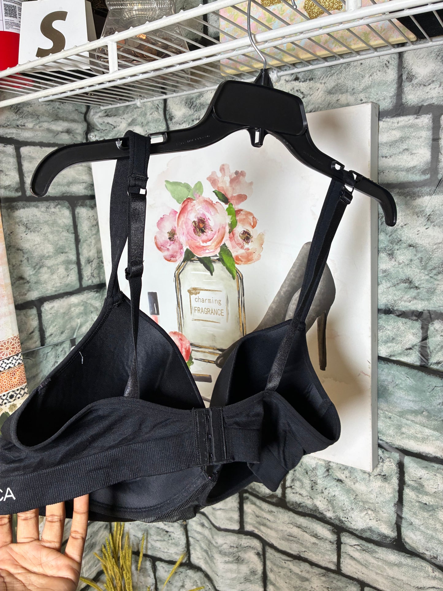 NEW Nautica Bra Women sz 42D