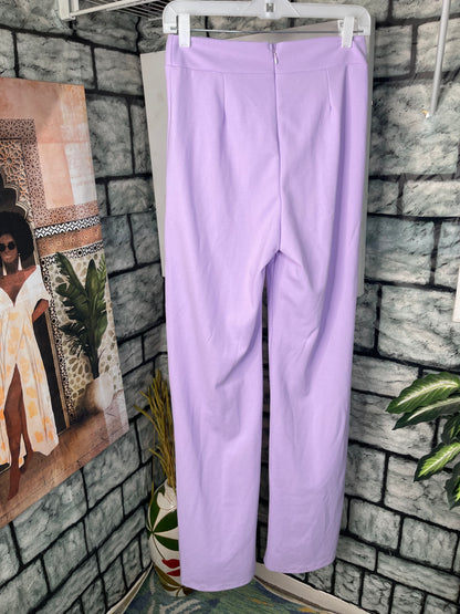 NEW Canvas Purple Pants Women sz Large